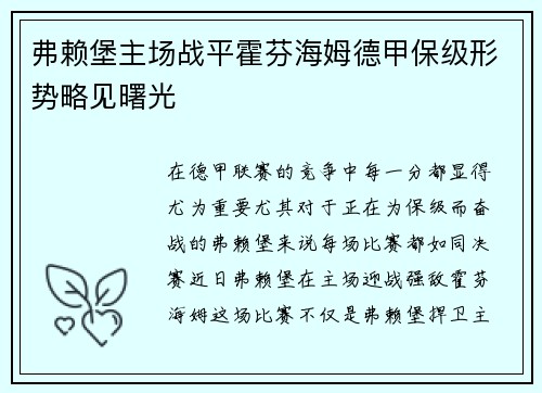 弗赖堡主场战平霍芬海姆德甲保级形势略见曙光
